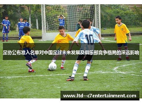 足协公布准入名单对中国足球未来发展及俱乐部竞争格局的深远影响