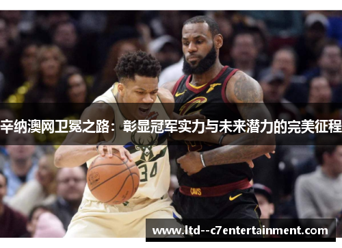 辛纳澳网卫冕之路：彰显冠军实力与未来潜力的完美征程