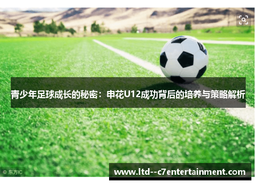 青少年足球成长的秘密：申花U12成功背后的培养与策略解析